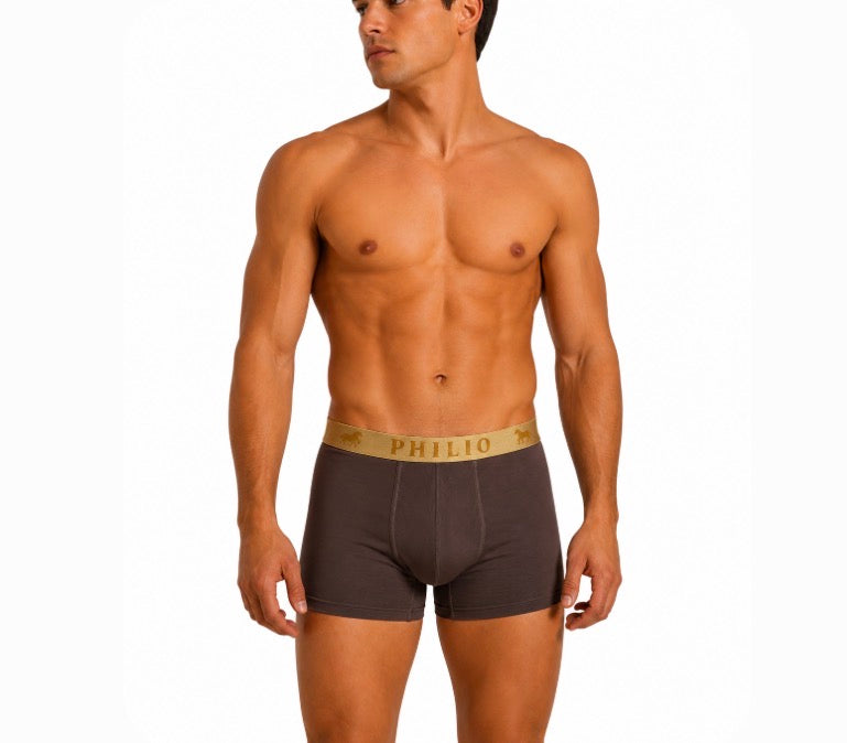 Philio Signature boxer-2 pack